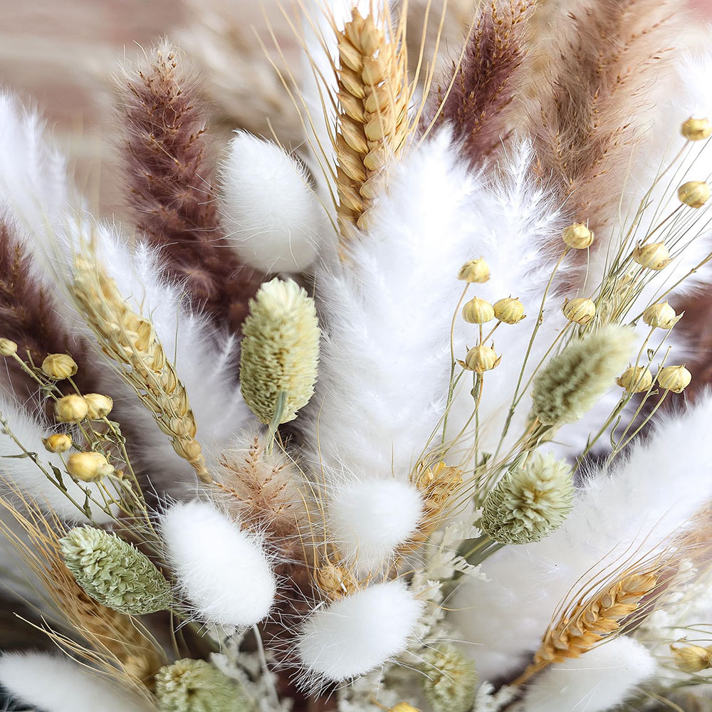 100 adet Kurutulmuş Pampas Çim - Wedding Floral Supply incelemesi ve fiyatı