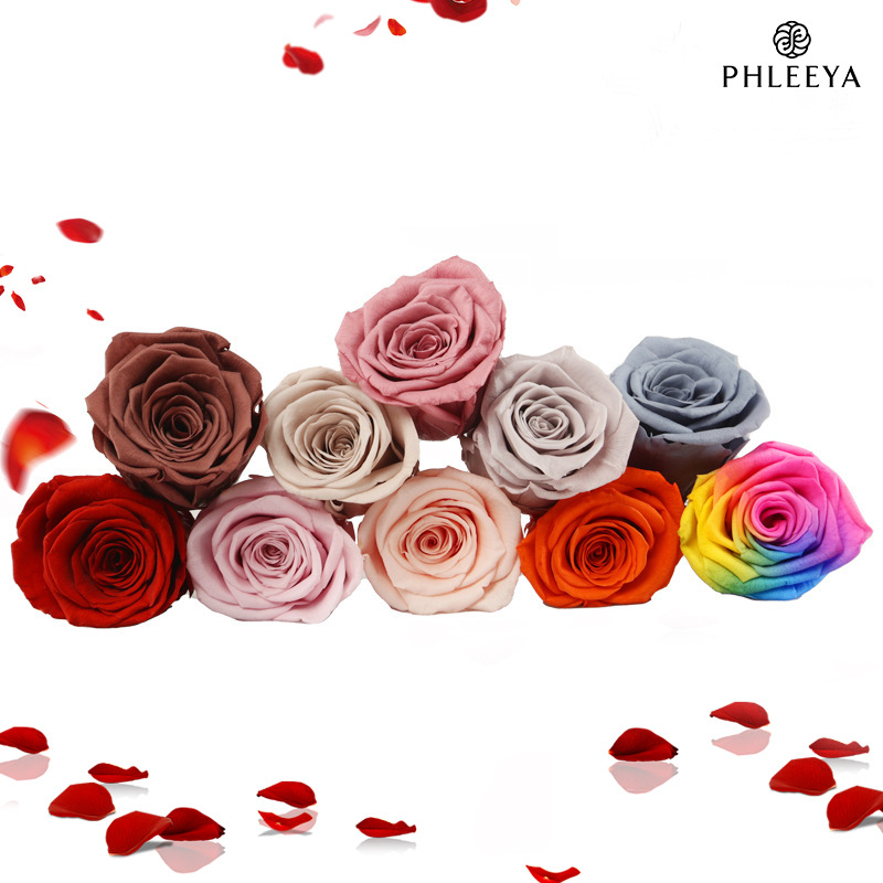 6 adet Ebedi Gül Çiçek Başları - Wedding Supply Bulk incelemesi ve fiyatı